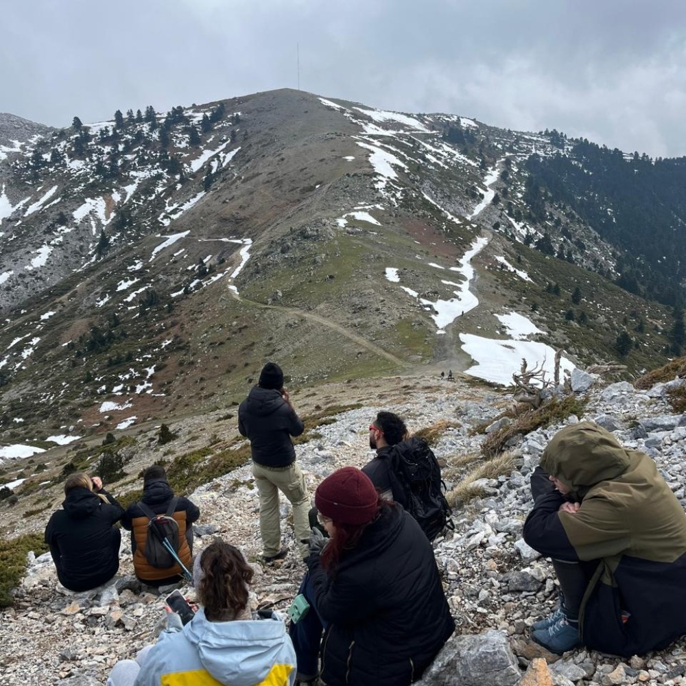 Δίρφη Κορυφή