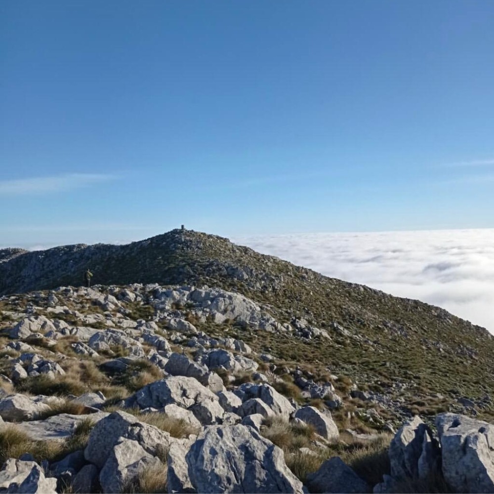 Κορυφή Δίρφη (Δέλφι)