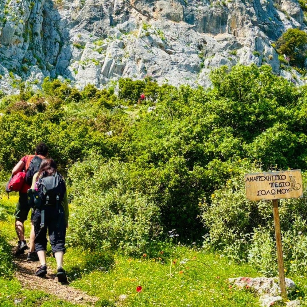 Σωλομός Αναρριχητικό Πεδίο